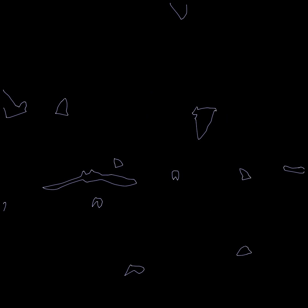 Pale shapes scattered across a dark field