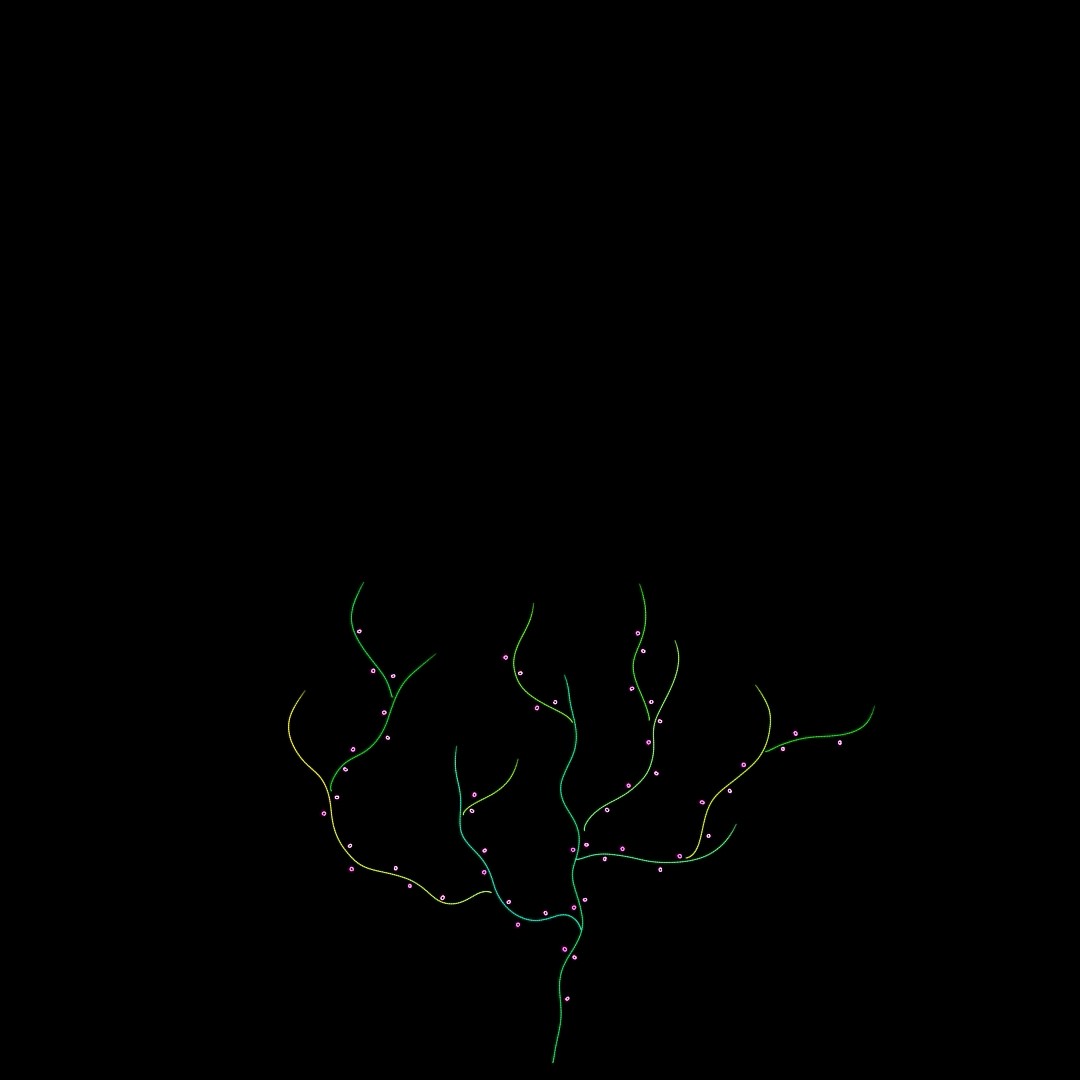 Branching green and yellow stems with pink blossom points
