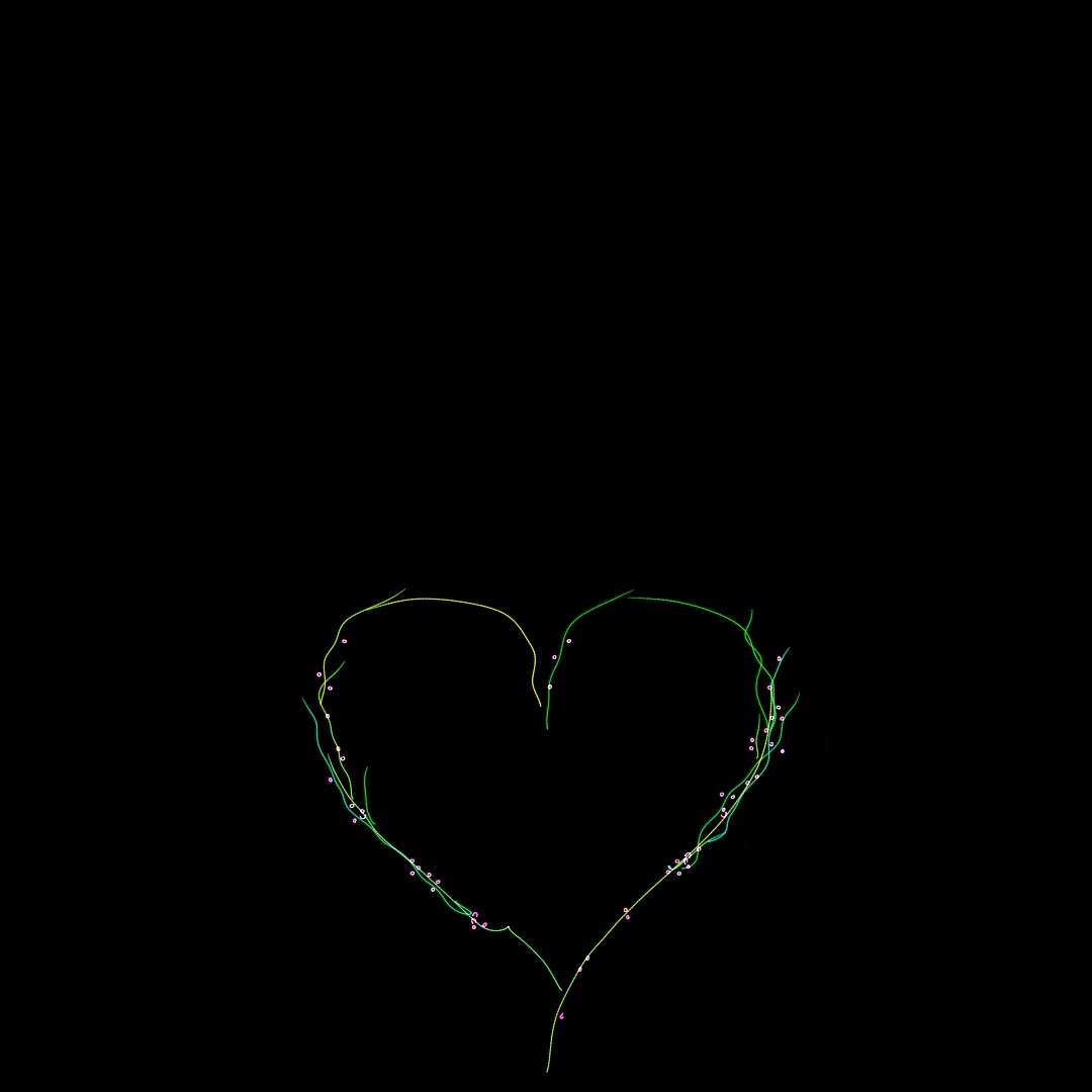 A heart formed from growing vines and blossom points